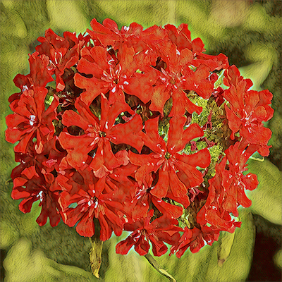 Maltese Cross