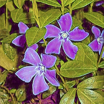 Periwinkle