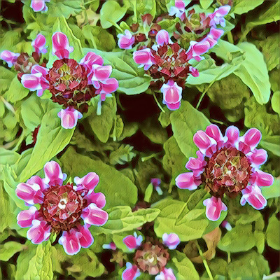 Self Heal