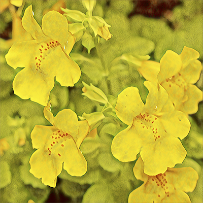 Yellow Monkey
